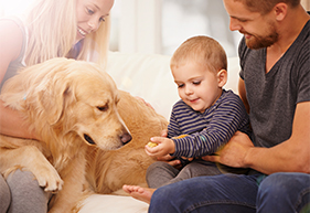 Altadena Pet Wellness