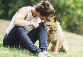 Glendale Animal Hospital