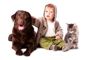 Learn More About Altadena Pet Hospital