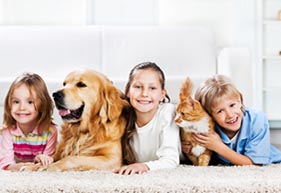 Preventive Pet Health Care With Altadena Pet Hospital