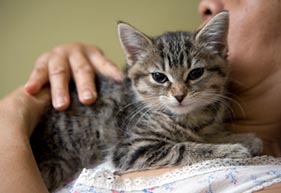 Puppy & Kitten Care For Your New Pet Baby at Altadena Pet Hospital